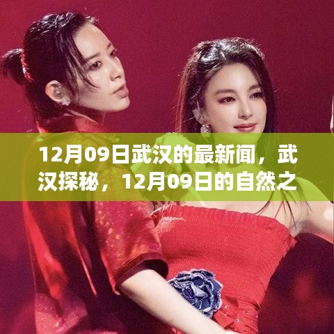 武漢探秘，尋找內(nèi)心的寧靜與平和——武漢最新新聞與自然之旅