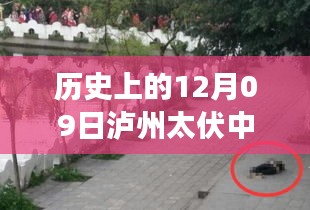 niaomianhuxing 第4頁
