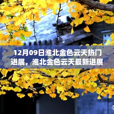 淮北金色云天最新進(jìn)展報(bào)告，聚焦十二月九日熱門動(dòng)態(tài)