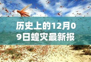 科技之光照亮蝗災(zāi)防線，智能監(jiān)測預(yù)警系統(tǒng)引領(lǐng)科技抗災(zāi)新時代新篇章