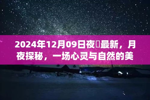 月夜探秘，心靈與自然的邂逅——記2024年12月09日夜廻之旅