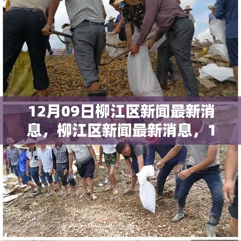 柳江區(qū)新聞回顧與最新動(dòng)態(tài)，12月09日影響及消息一覽
