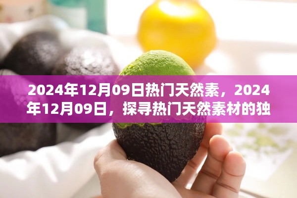 探尋熱門天然素材的獨特魅力，2024年12月9日天然素材流行趨勢解析