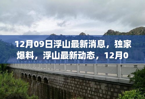 12月09日浮山獨(dú)家爆料，最新動(dòng)態(tài)與震撼更新