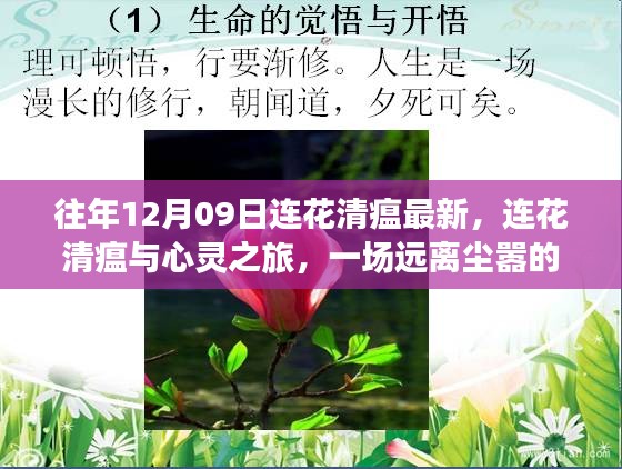 連花清瘟與心靈之旅，遠(yuǎn)離塵囂的奇妙探險(xiǎn)之旅