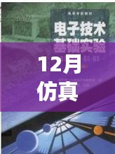 仿真之路，實時啟航，迎接自信與成就感的魔法時刻——十二月仿真需求解析