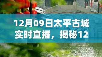 揭秘太平古城直播日，巷弄深處的獨特小店與探秘之旅