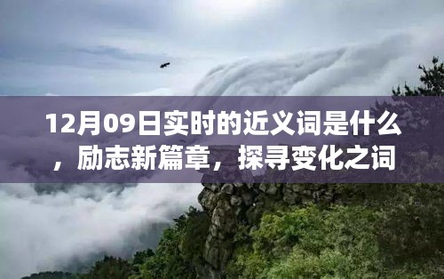 12月09日實時近義詞探索與勵志新篇章，探尋詞匯魔力，學(xué)習(xí)鑄就自信成就之橋
