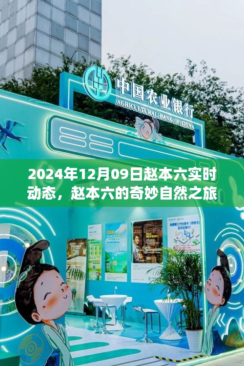 趙本六的奇妙自然之旅，尋找內(nèi)心平靜的美麗秘境（實(shí)時(shí)更新）