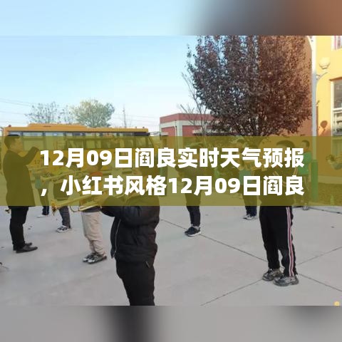 小紅書風(fēng)格12月09日閻良實時天氣預(yù)報，冬日暖陽下的精準(zhǔn)氣象預(yù)測概覽