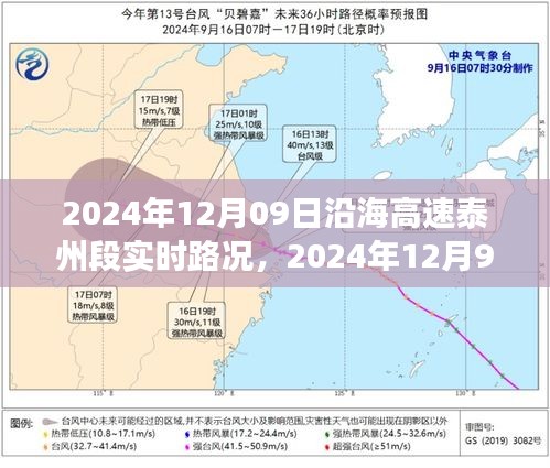 沿海高速泰州段實時路況分析與觀點分享，擁堵狀況下的多方視角
