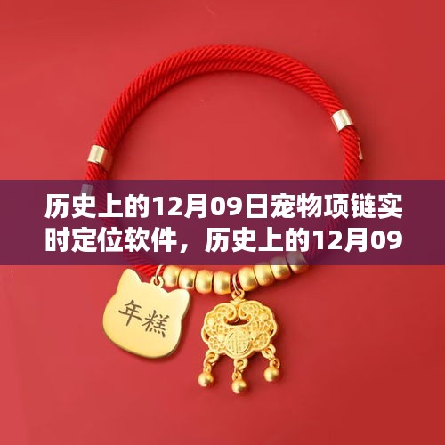 歷史上的12月09日，寵物項鏈實時定位軟件深度評測與介紹