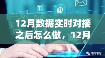 12月數(shù)據(jù)實(shí)時對接后的策略指南，多方考量與行動步驟