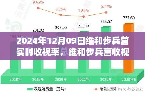維和步兵營(yíng)收視率報(bào)告，聚焦實(shí)時(shí)數(shù)據(jù)洞察