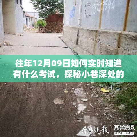 探秘小巷深處的考試情報(bào)站，揭秘往年考試資訊一網(wǎng)打盡秘籍！