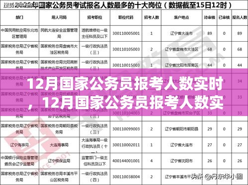 12月國(guó)家公務(wù)員報(bào)考人數(shù)實(shí)時(shí)分析與趨勢(shì)探討，數(shù)據(jù)、策略一覽