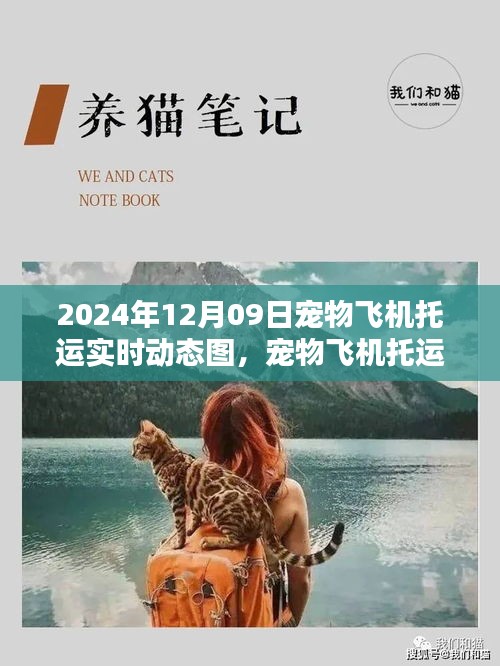 寵物飛機托運全程指南，實時動態(tài)圖解（XXXX年）
