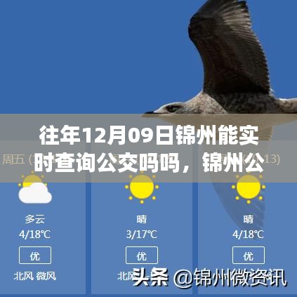 錦州公交實(shí)時(shí)查詢(xún)系統(tǒng)升級(jí)，智能出行新體驗(yàn)，科技生活觸手可及