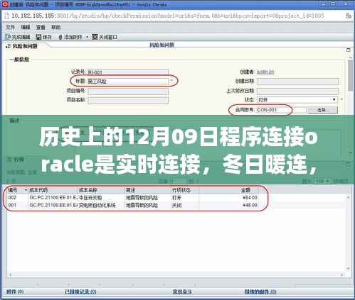 我與Oracle的實時緣分，歷史中的暖心連接與冬日數據庫溫情故事