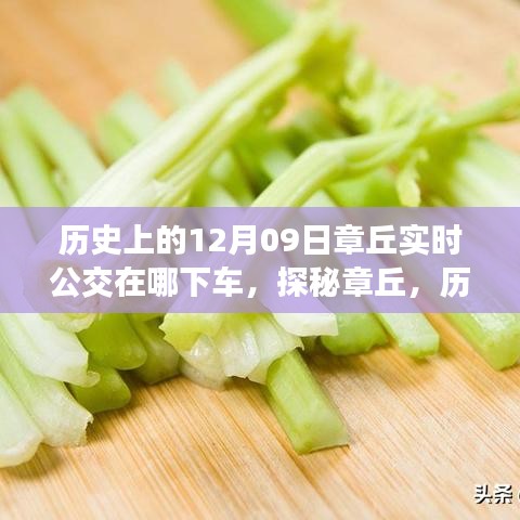 探秘章丘，歷史深處的公交軌跡與小巷美食寶藏——12月9日實(shí)時(shí)公交指南