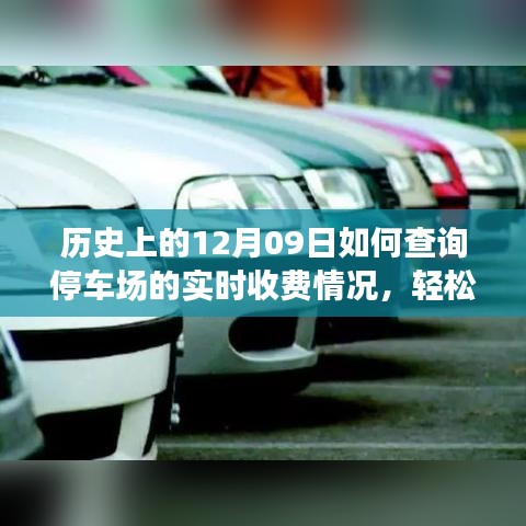 如何查詢停車場實時收費情況？詳細(xì)步驟指南（歷史上的12月09日版）