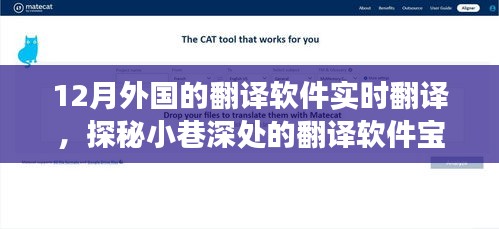 探秘十二月外國(guó)實(shí)時(shí)翻譯軟件，小巷深處的翻譯寶藏體驗(yàn)之旅