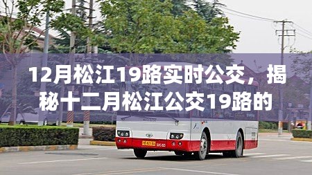 揭秘十二月松江公交19路實時運(yùn)營動態(tài)