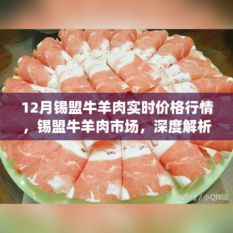 錫盟牛羊肉市場(chǎng)深度解析，十二月實(shí)時(shí)價(jià)格行情報(bào)告