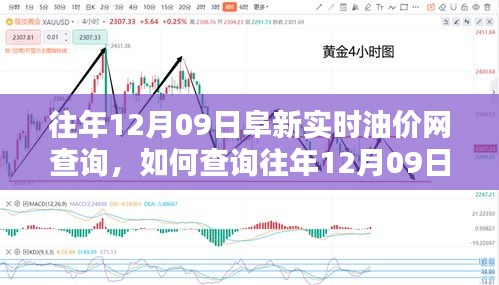 往年12月09日阜新實(shí)時(shí)油價(jià)網(wǎng)查詢攻略，初學(xué)者與進(jìn)階用戶指南