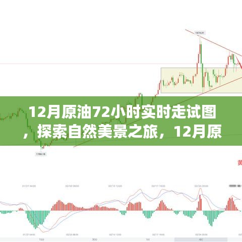 揭秘原油走勢(shì)圖背后的故事，探尋自然美景之旅的實(shí)時(shí)追蹤報(bào)告