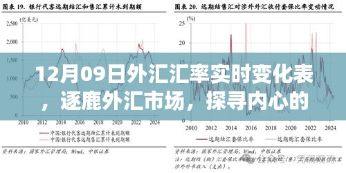 揭秘外匯市場風(fēng)云變幻，探尋匯率背后的故事——12月09日外匯匯率實時變化表解析