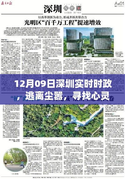 深圳自然探索之旅啟示，逃離塵囂，尋找心靈綠洲的啟示（實(shí)時(shí)時(shí)政報(bào)道）