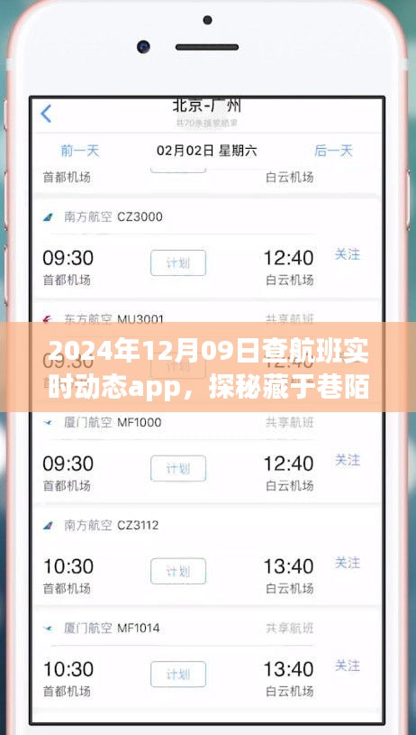 探秘航班實時動態(tài)小天地，2024年12月9日的奇妙航班查詢之旅