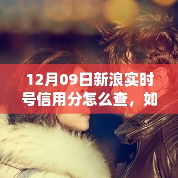 勵(lì)志蛻變之旅，如何查詢新浪實(shí)時(shí)號(hào)信用分指南