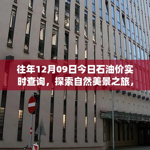油價波動下的心靈之旅，今日石油價實時查詢與探索自然美景的寧靜之旅