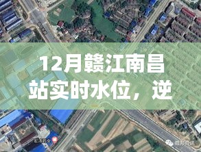 贛江南昌站水位實時觀察，逆流而上的成長之旅，展現(xiàn)變化、學(xué)習(xí)與自信的力量