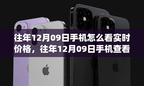 往年12月09日手機查看實時價格指南，功能解析、用戶體驗、競品對比與受眾分析