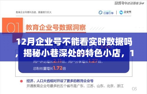 揭秘12月企業(yè)號(hào)實(shí)時(shí)數(shù)據(jù)，小巷特色小店的奇幻數(shù)據(jù)之旅