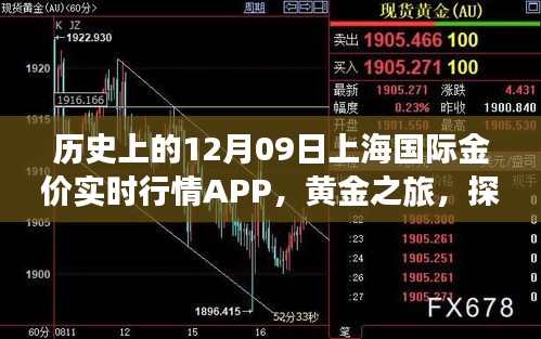 上海國際金價實時行情APP的黃金之旅，歷史探索與自然美景的融合體驗。