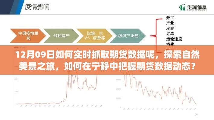 探索自然美景之旅與實(shí)時(shí)抓取期貨數(shù)據(jù)，寧靜中的動(dòng)態(tài)把握策略