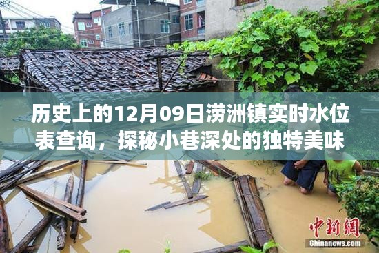 探秘澇洲鎮(zhèn)，歷史水位變遷中的小巷美食記憶——實(shí)時(shí)水位表查詢與獨(dú)特美味探秘