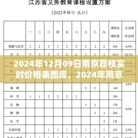 2024年南京荔枝實時價格表圖庫制作指南，從初學(xué)者到進(jìn)階用戶全攻略