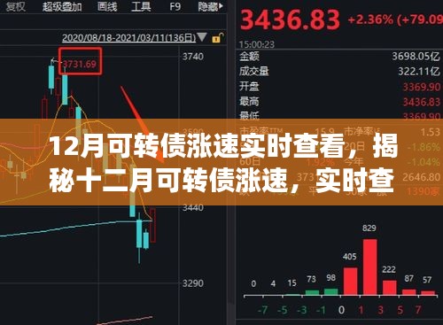 揭秘十二月可轉(zhuǎn)債漲速，實時查看與深度解讀報告