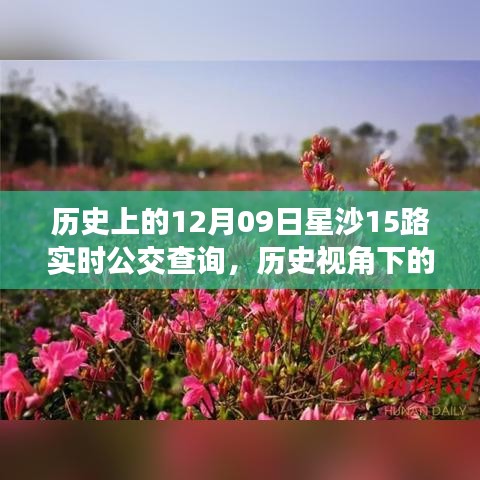 歷史視角下的星沙公交發(fā)展，星沙公交查詢系統(tǒng)深度探討與實(shí)時(shí)公交查詢服務(wù)解析（附，歷史上的星沙公交變遷）