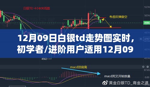 12月09日白銀TD走勢圖實時分析指南，適合初學者與進階用戶