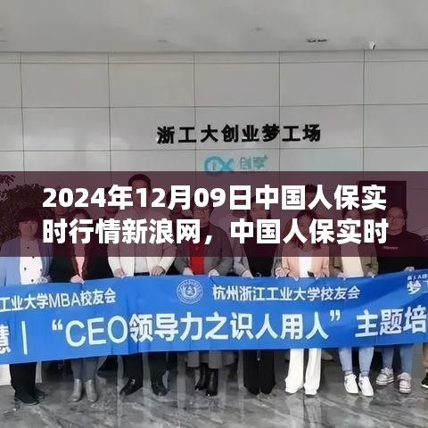 中國人保新浪網(wǎng)實時行情評測報告，產(chǎn)品特性與用戶體驗深度解析