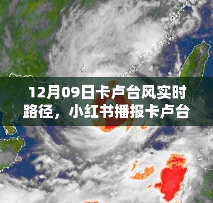 卡盧臺風實時路徑播報，小紅書最新動態(tài)解析（12月09日）