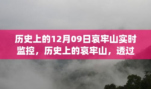 哀牢山歷史監(jiān)控實(shí)錄，透過實(shí)時(shí)影像一窺昔日風(fēng)采