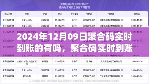 2024年聚合碼實(shí)時(shí)到賬可行性探討，以觀察日12月09日為切入點(diǎn)