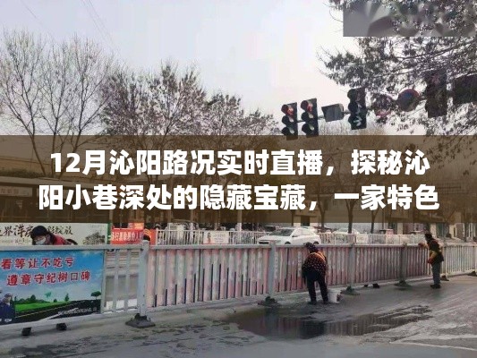 探秘沁陽小巷寶藏，實(shí)時(shí)路況直播啟程，帶你領(lǐng)略獨(dú)特風(fēng)情